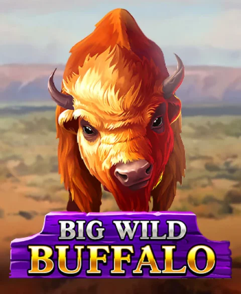 Play Big Wild Buffalo at Pelaa Casino